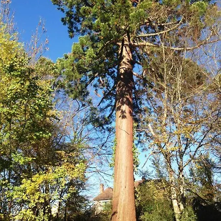 בית נופש La Charmeraie Rouffignac Saint-Cernin
