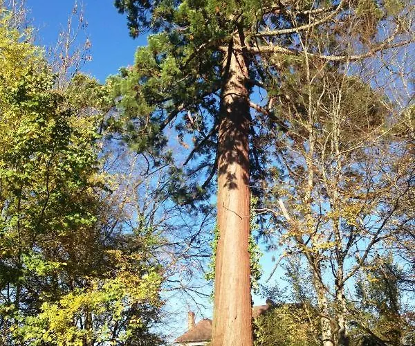 Prázdninový dům La Charmeraie Rouffignac Saint-Cernin